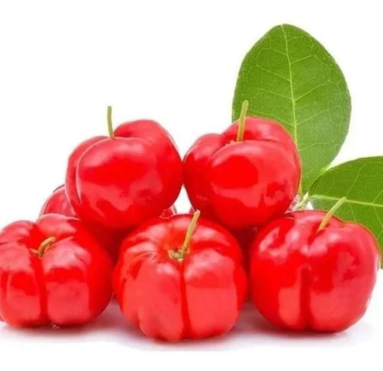 Acerola