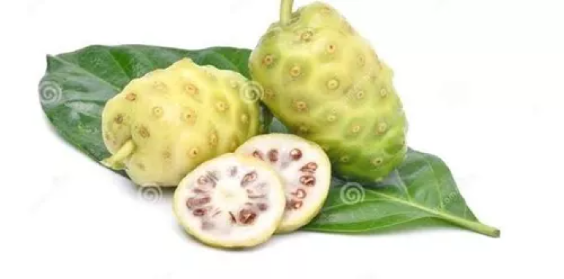 Furta noni
