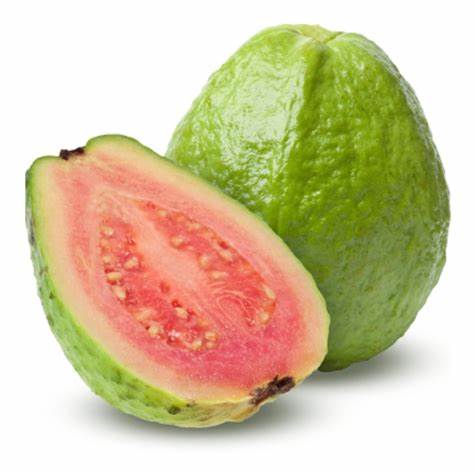Muda de goiaba