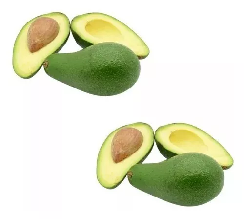 Muda de abacate