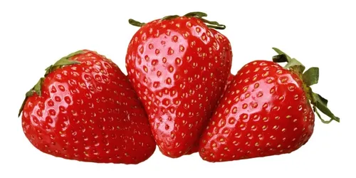 Muda De morango
